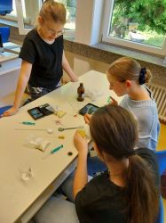 Abdeckstift1_24_25