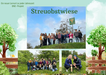 Foto 1 Streuobstwiese